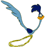 roadrunner roadrunner