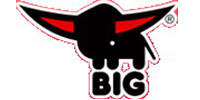 big logo