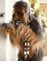 chewie chewie