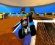 Roblox își turează motoarele pentru revenirea Monster Jam