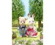 Calico Critters sărbătorește 40 de ani de existență