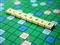 Invitarea lui Mattel la Campionatul Scrabble