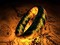 Licențe Lego Hobbit și Lord of the Rings