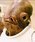 Star Wars - Ackbar Admiral