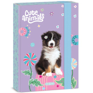 Ars Una: Animale drăguțe - cutie pentru caiete A/5 cu câini Aussie
