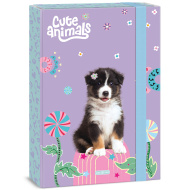 Ars Una: Animale drăguțe - cutie pentru caiete A4 cu câine Aussie