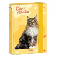 Ars Una: Cutie drăguță pentru caiete format A/5 cu pisică de pădure norvegiană