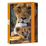Ars Una: Máté Bence Spirit of Nature - Cutie pentru caiete A/5 cu leu