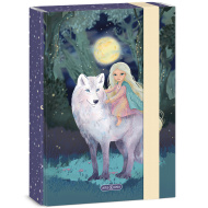 Ars Una: Northern Lights cutie pentru caiete A5