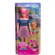 Barbie Mysteries: Detectivii de la plajă - Păpușa Daisy cu accesorii - Mattel