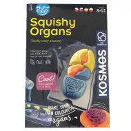 Fun Science - Set de joacă Organe Moi - Piatnik