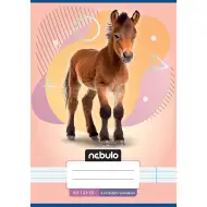 Nebulo: Caiet dictando pentru clasa a 4-a cu model de cal A/5 21-32
