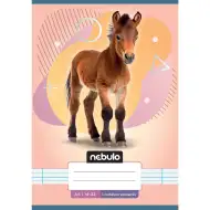 Nebulo: Caiet liniat capsat pentru clasa 1, format A5, 14-32, cu animale - Călăreț