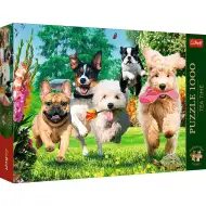 Puzzle premium de 1000 de piese "Kutyabrigád" - Trefl