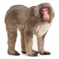 Schleich: Figurina macac japonez (14871)