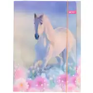 Spirit: Tânăr și Sălbatic dosar cu elastic 600gr A/4