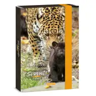 Ars Una: Serenity Jaguar mapă pentru caiet A5