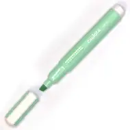 Carioca Pastel: Pastel verde textliner marker