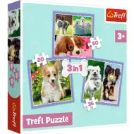 Cățeluși drăguți 3 in 1 de 50-36-20 bucăți puzzle - Trefl