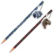 Jurassic World creion grafit cu radieră mai multe variante 1bc