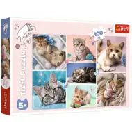 Pisici 100 de bucăți puzzle - Trefl