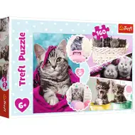 Pisici simpatice puzzle 160 bucăți - Trefl