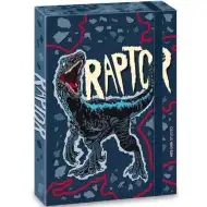 Raptor mapă pentru caiete A5