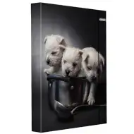 Spirit: Căței mapă pentru caiete cu elastic mărimea A4
