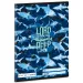 Ars Una: Lord of the Deep rechin caiet dictando clasa a 2-a A/5