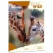 Ars Una: Máté Bence Icons of the Wild-Girafe Dosar A4 cu elastic