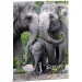 Ars Una: Serenity – Dosar cu elastic A/4 cu elefant
