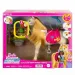 Barbie: Tornadă Regală - Mattel