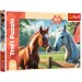 Cai pe poiană puzzle de 200 de piese - Trefl