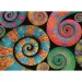 Colorboom: Puzzle cu cameleoni de 500 de piese - Clementoni