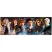 Harry Potter - Moștenitorii de la Hogwarts puzzle panoramic de 1000 de piese cu poster - Clementoni