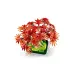 LEGO® Botanicals: Bonsai de arțar japonez cu frunze roșii (10348)