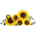 LEGO® Botanicals: Buchet de floarea-soarelui (11502)