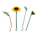 LEGO® Botanicals: Buchet de floarea-soarelui (11502)