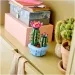 LEGO® Botanicals: Cactus înflorit (11509)
