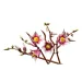 LEGO® Botanicals: Crengi de magnolie (11510)