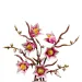 LEGO® Botanicals: Crengi de magnolie (11510)