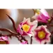 LEGO® Botanicals: Crengi de magnolie (11510)