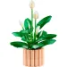 LEGO® Botanicals: Crinul Păcii (11504)