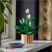LEGO® Botanicals: Crinul Păcii (11504)