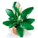 LEGO® Botanicals: Crinul Păcii (11504)