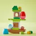 LEGO® DUPLO®: Arbore cu balanță (10440)