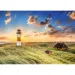 Listi far de mare 1000 piese, puzzle Premium Plus Quality - Trefl