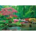 Peace puzzle: Picături de ploaie liniștitoare puzzle de 500 piese - Clementoni
