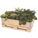 PlayBox: Ladă din lemn pe palet 18x28x8,65cm