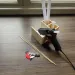 PlayBox: Pistol de lipit de dimensiuni mari, cu temperatură scăzută, cu 2 bare de lipici de 11mm.